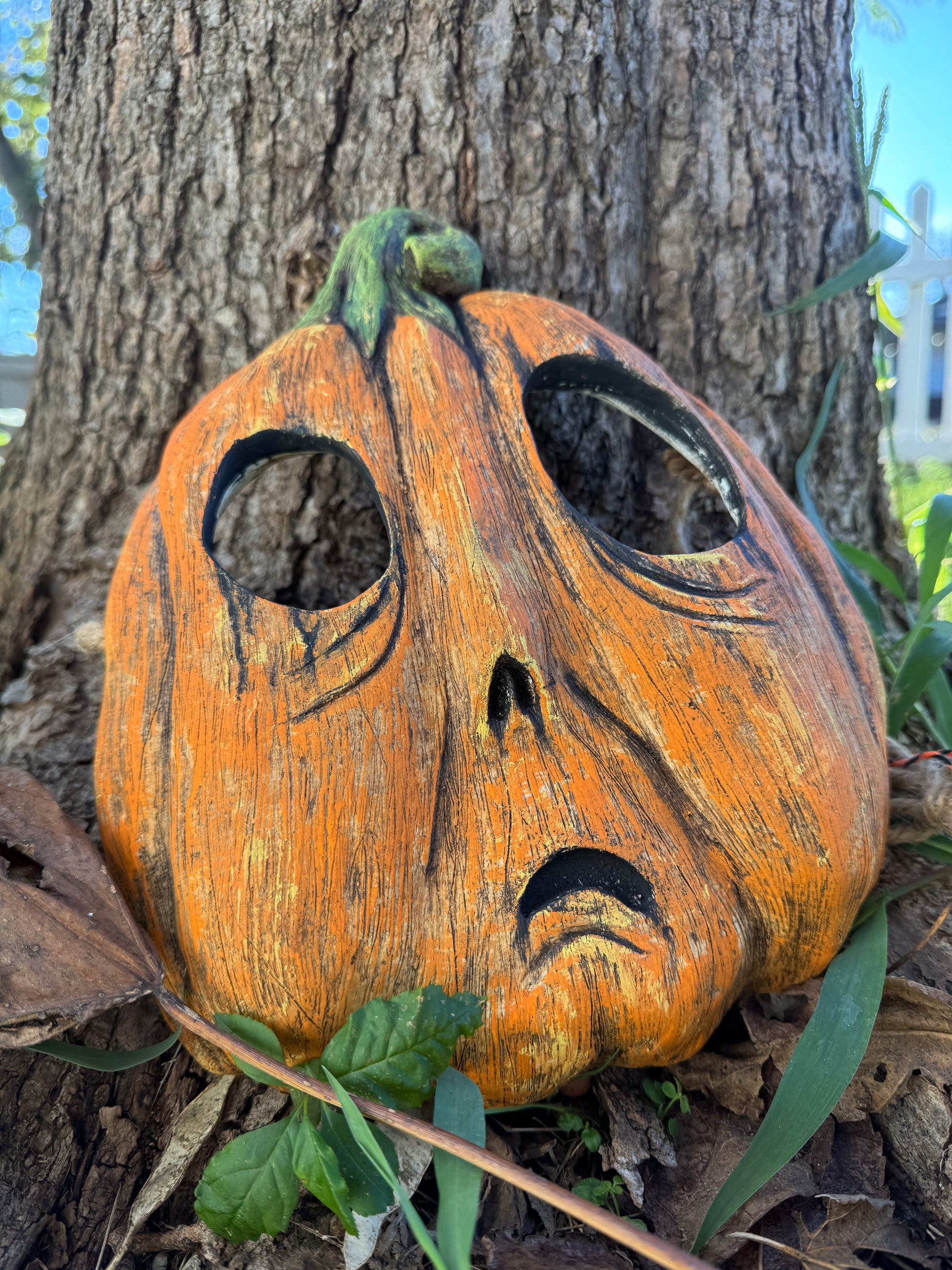 Stump - Art Exhibit Displayed