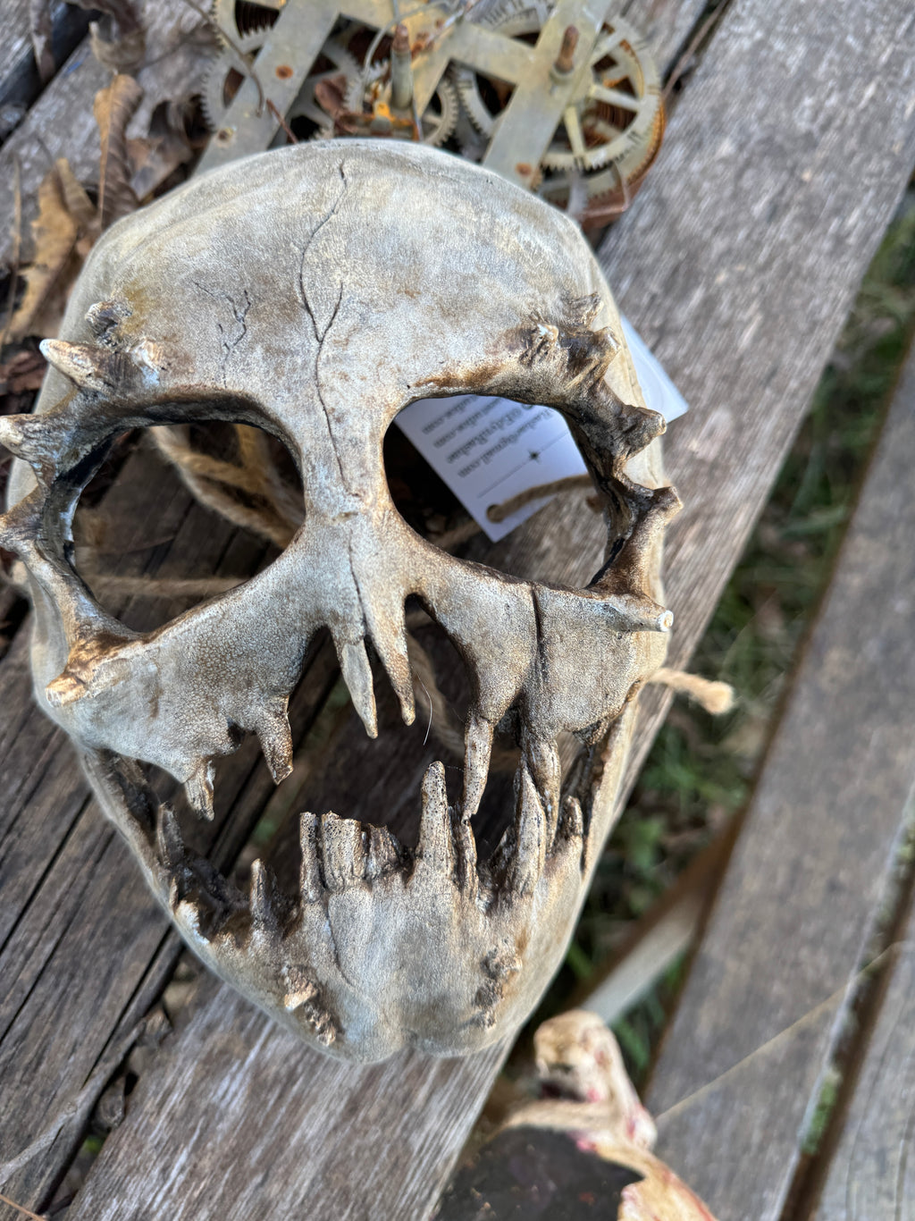 The Hollow Maw - Limited Edition Demon Skull Mask