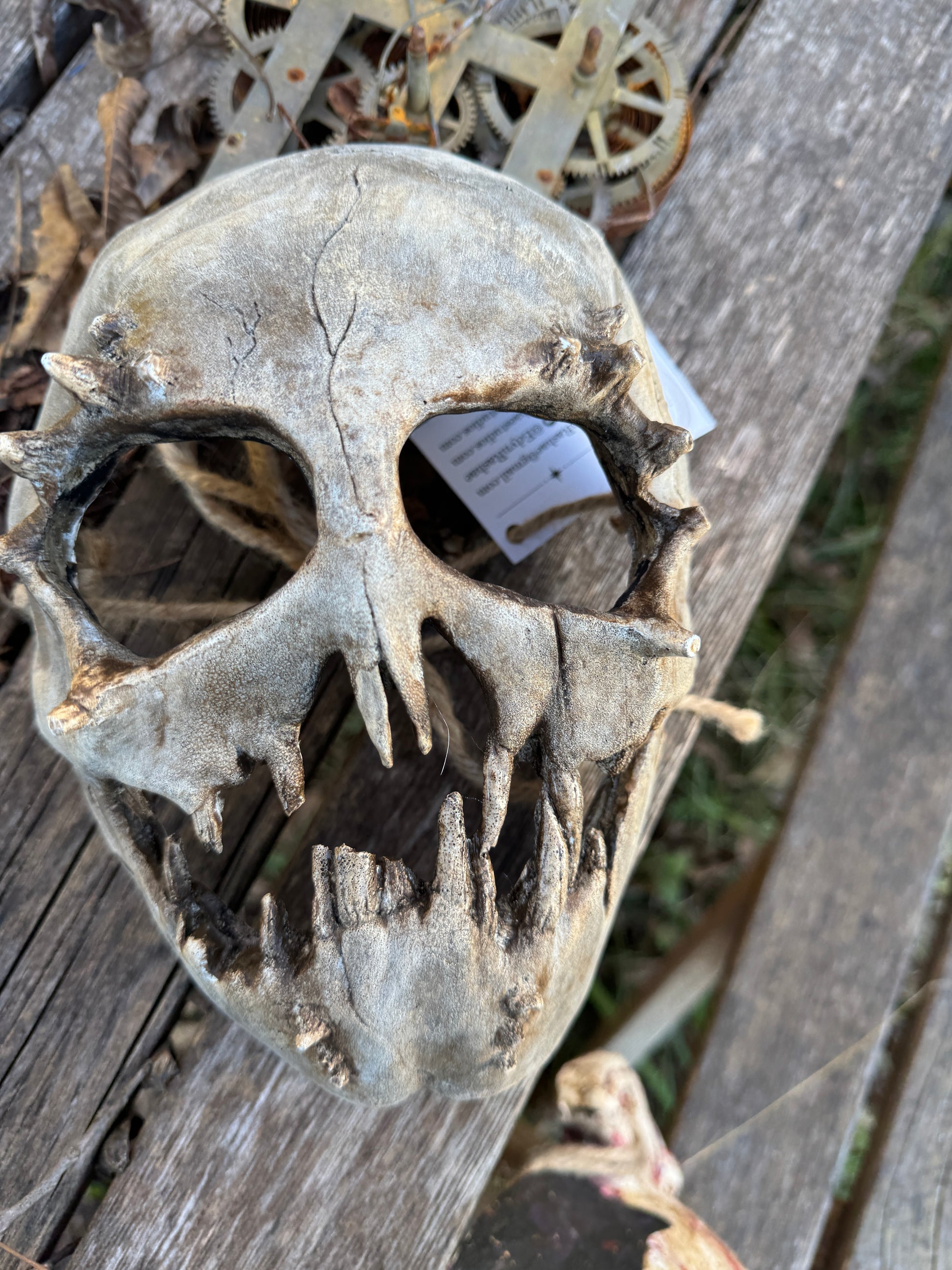 The Hollow Maw - Limited Edition Demon Skull Mask