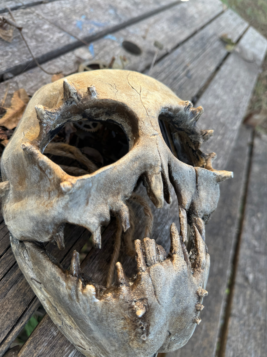 The Hollow Maw - Limited Edition Demon Skull Mask